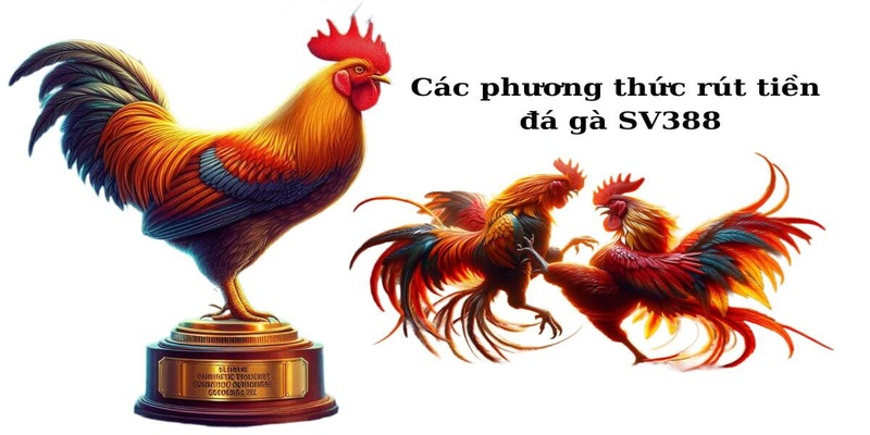 Các hình thức rút tiền SV388