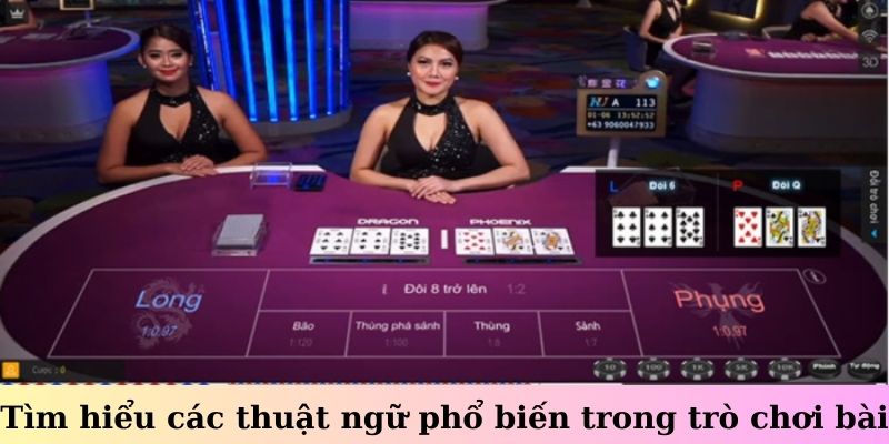 Tìm hiểu các thuật ngữ phổ biến trong trò chơi bài