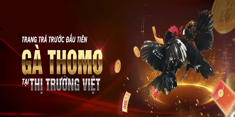 Khái niệm cơ bản về hình thức SV388 trả trước