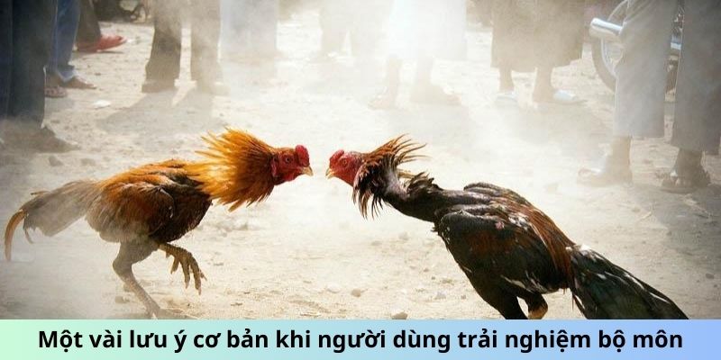 Một vài lưu ý cơ bản khi người dùng trải nghiệm bộ môn